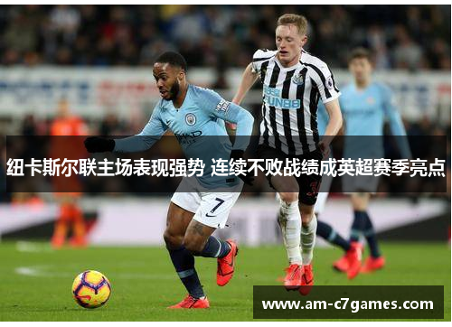 纽卡斯尔联主场表现强势 连续不败战绩成英超赛季亮点 纽卡斯尔联主场表现强势 连续不败战绩成英超赛季亮点