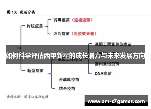 如何科学评估西甲新星的成长潜力与未来发展方向
