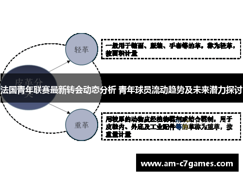 法国青年联赛最新转会动态分析 青年球员流动趋势及未来潜力探讨 法国青年联赛最新转会动态分析 青年球员流动趋势及未来潜力探讨