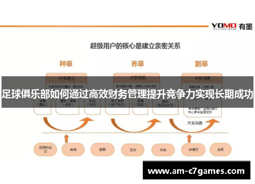 足球俱乐部如何通过高效财务管理提升竞争力实现长期成功