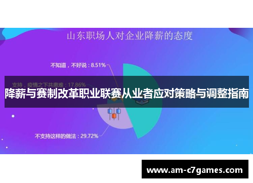降薪与赛制改革职业联赛从业者应对策略与调整指南